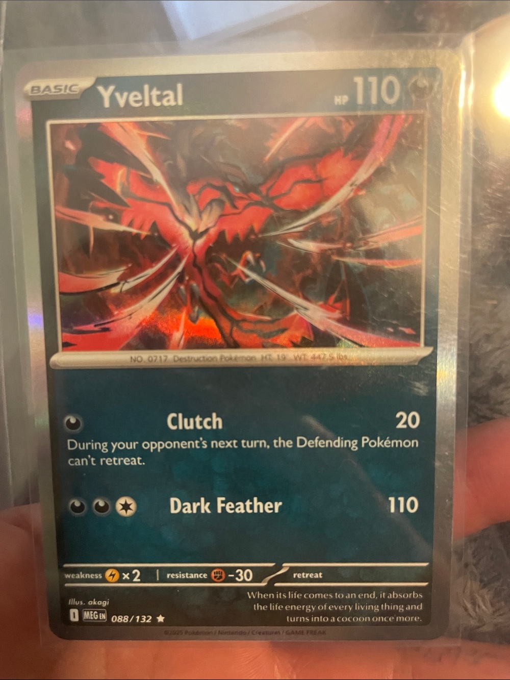 Pokemon Yveltal Holo Card – Black/Red